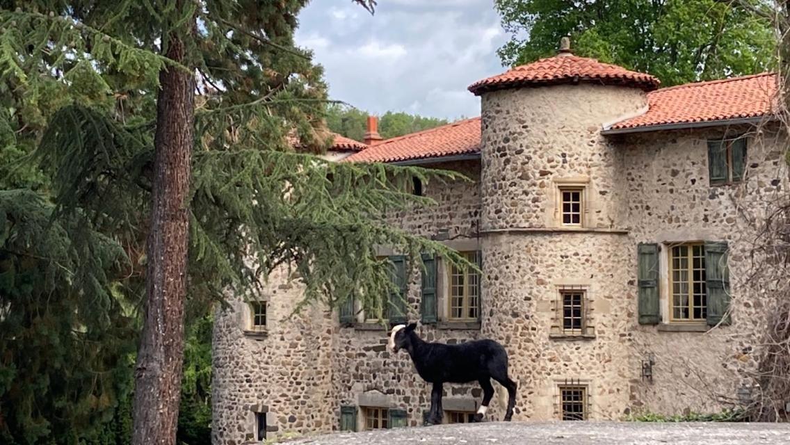 Chateau De Durianne Le Monteil  Buitenkant foto