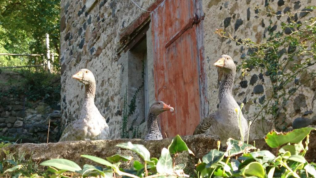 Chateau De Durianne Le Monteil  Buitenkant foto