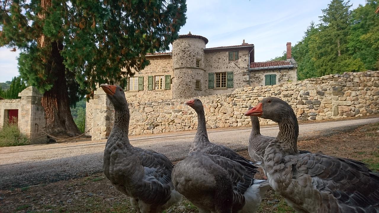 Chateau De Durianne Le Monteil  Buitenkant foto